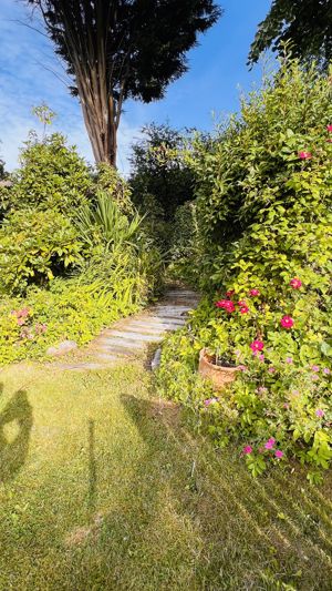 Photo 27- click for photo gallery